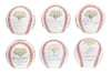 2009 New York Yankees WS Champs Team Signed Baseball Collection 42 Balls JSA COA