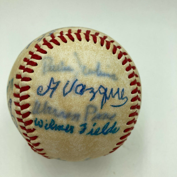 Negro League Legends Signed Official Negro League Baseball 16 Sigs With JSA COA
