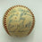 1967 Boston Red Sox AL Champs Team Signed American League Baseball With JSA COA