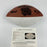 1989 Super Bowl XXIV Champs San Francisco 49ers Team-Signed Football 50 Sigs JSA