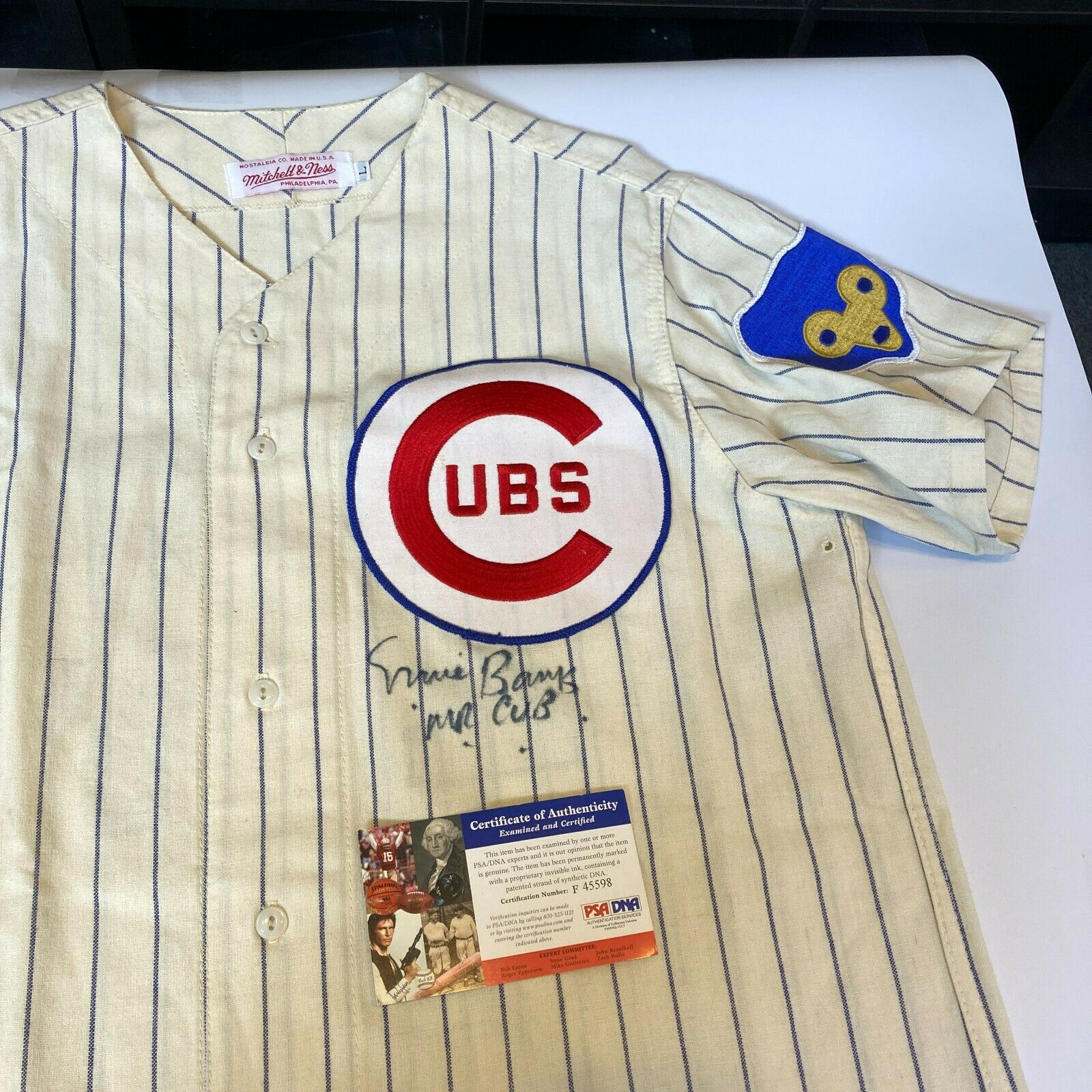 Ernie Banks Mr. Cub Signed Authentic Chicago Cubs Jersey PSA DNA COA