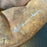 Warren Spahn Signed 1940's Game Model Baseball Glove With JSA COA