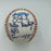 Harrisburg Senators Washington Nationals Team Signed Minor League Baseball