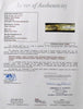 Magnificent Hall Of Fame Multi Signed Bat 45 Signatures With Inscriptions JSA