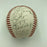 1990's Hagerstown Suns Toronto Blue Jays Team Signed Minor League Baseball