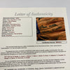 Mickey Mantle Hank Aaron Hall Of Fame Legends Multi Signed Baseball Glove JSA