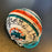 2000 Miami Dolphins Team Signed Riddell Mini Helmet