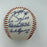 Harrisburg Senators Washington Nationals Team Signed Minor League Baseball