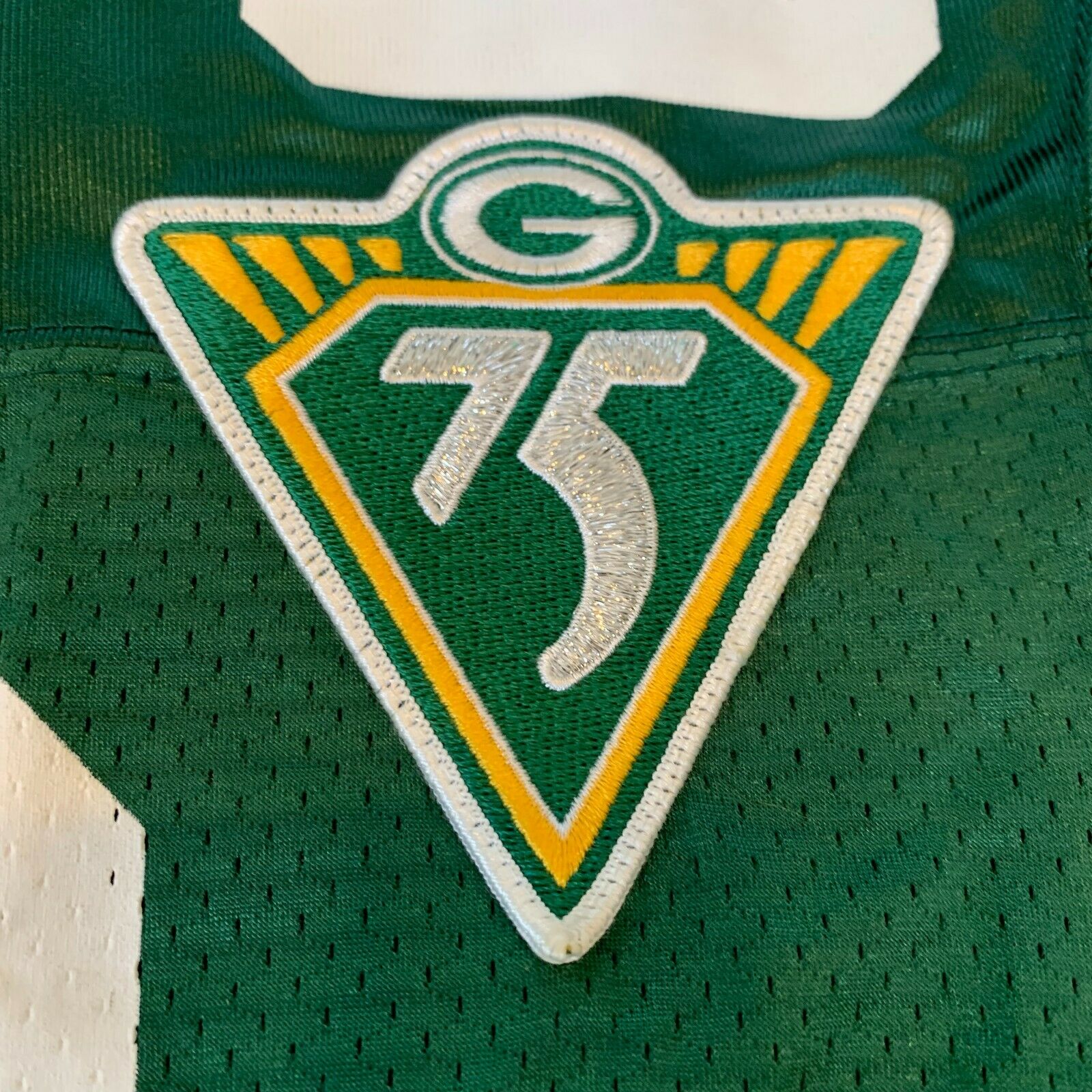 Ray Nitschke #66 Signed Green Bay Packers Wilson Game Jersey Psa