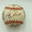 1998 Tampa Bay Devil Rays Inaugural Season Team Signed Major League Baseball