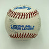 1990's Hagerstown Suns Toronto Blue Jays Team Signed Minor League Baseball