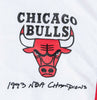 Michael Jordan Signed 1993 NBA Champions Chicago Bulls Warm Up Jacket UDA COA