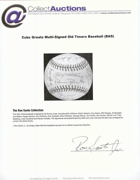 Chicago Cubs Legends Signed Baseball 23 Sigs Ron Santo Estate Beckett COA