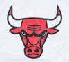 Michael Jordan Signed 1993 NBA Champions Chicago Bulls Warm Up Jacket UDA COA