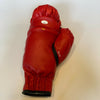 Boxing Legends Multi Signed Everlast Boxing Glove 7 Signatures JSA COA