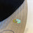 Ken Griffey Jr. Signed Seattle Mariners Game Model Baseball Hat With JSA COA