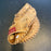 Norm Siebern Signed Vintage 1960's Game Model First Baseman's Glove PSA DNA COA