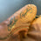 Luke Appling Signed 1940's Game Model Baseball Glove JSA COA