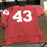 Larry Brown 1972 MVP Signed Authentic Washington Redskins Throwback Jersey JSA