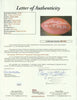 Johnny Unitas “M.V.P. 1959, 1964, 1967” Signed Inscribed Wilson Football JSA COA