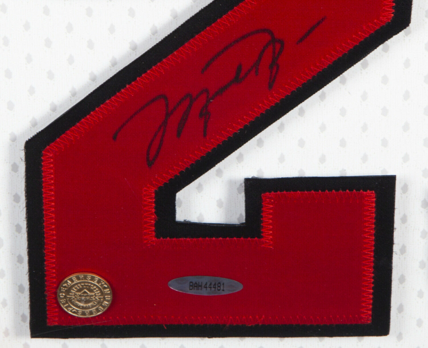 Michael Jordan Autographed Jersey Numbers, Jordan Jersey Numbers Piece  Bullseye