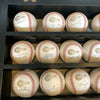 2005 Chicago White Sox World Series Champs Team Signed Baseball Display (29) JSA