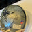 1995 Dallas Cowboys Super Bowl Champs Team Signed Authentic Helmet PSA DNA COA