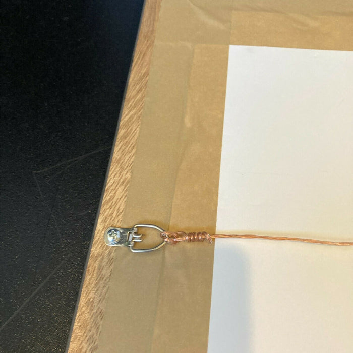 Martin Scorsese Signed Large 18x24 Taxi Driver Movie Poster Framed PSA DNA COA