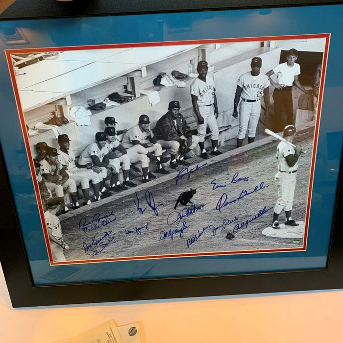 Beautiful 1969 Chicago Cubs Team Signed Large Framed Photo Ernie Banks JSA COA