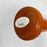 1966, 1970 & 1983 Baltimore Orioles World Series Champs Team Signed Bat JSA COA