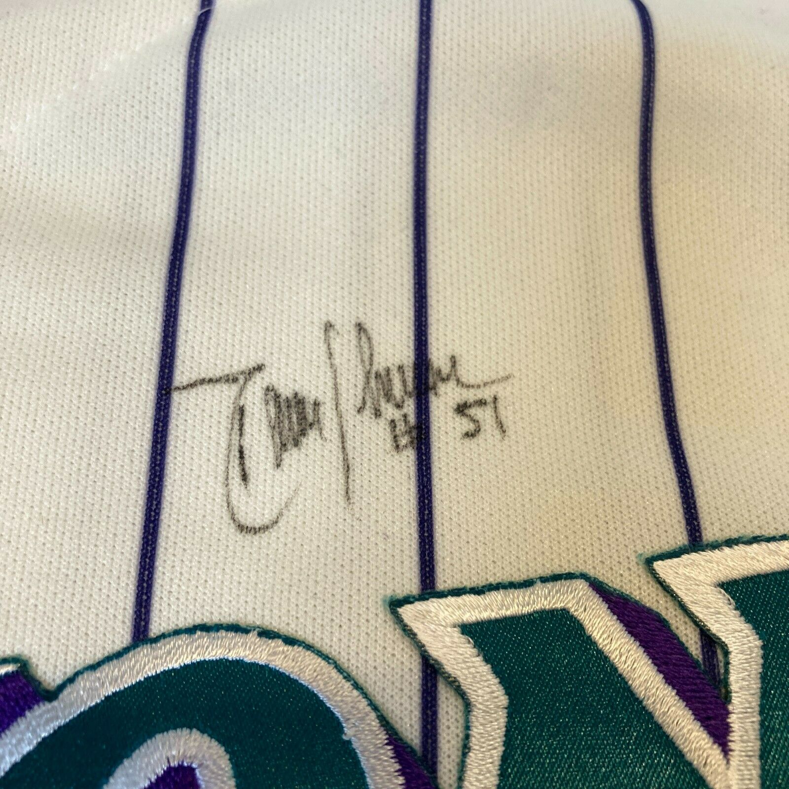 Sold at Auction: Randy Johnson Arizona Diamondbacks signed autographed  jersey Certified Coa