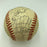 1982 New York Yankees Team Signed Official American League Baseball JSA COA