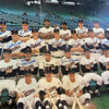 1975 Minnesota Twins AL Champs Team Signed 16x20 Photo Harmon Killebrew JSA COA