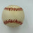 2002 Tampa Bay Rays Team Signed Official Major League Baseball