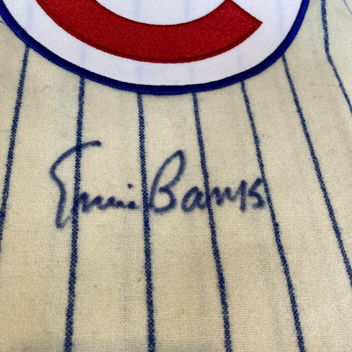 Lot Detail - 1969 Ron Santo Chicago Cubs Signed Mitchell & Ness Throwback  Jersey (JSA)