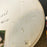Celine Dion Signed Autographed Drumhead With JSA COA