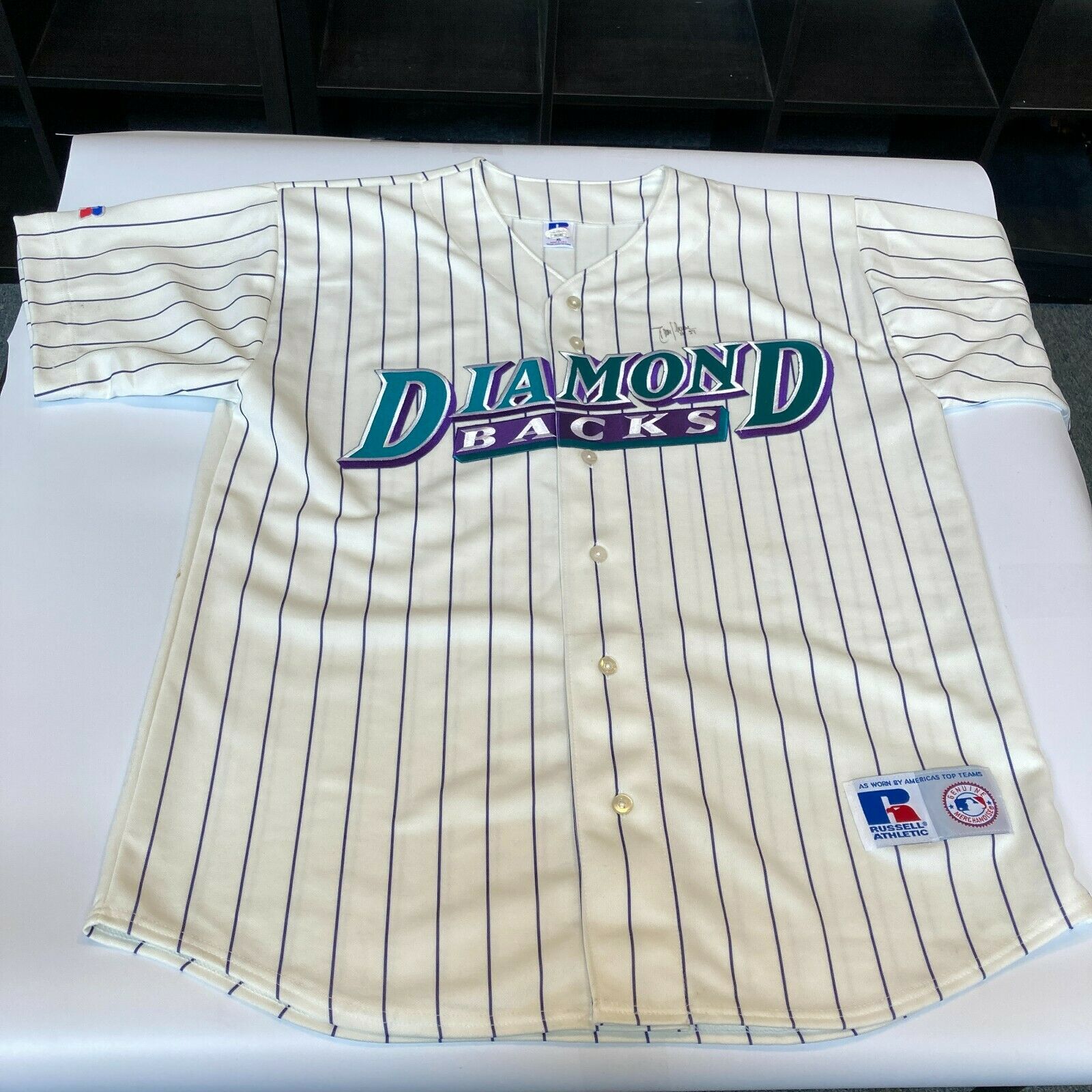 Lot Detail - 2004 Randy Johnson Autographed Arizona Diamondbacks Batting  Practice All-Star Jersey (MLB Authenticated)