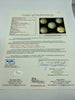 Beautiful 1959 Chicago White Sox AL Champs Team Signed Baseball JSA COA