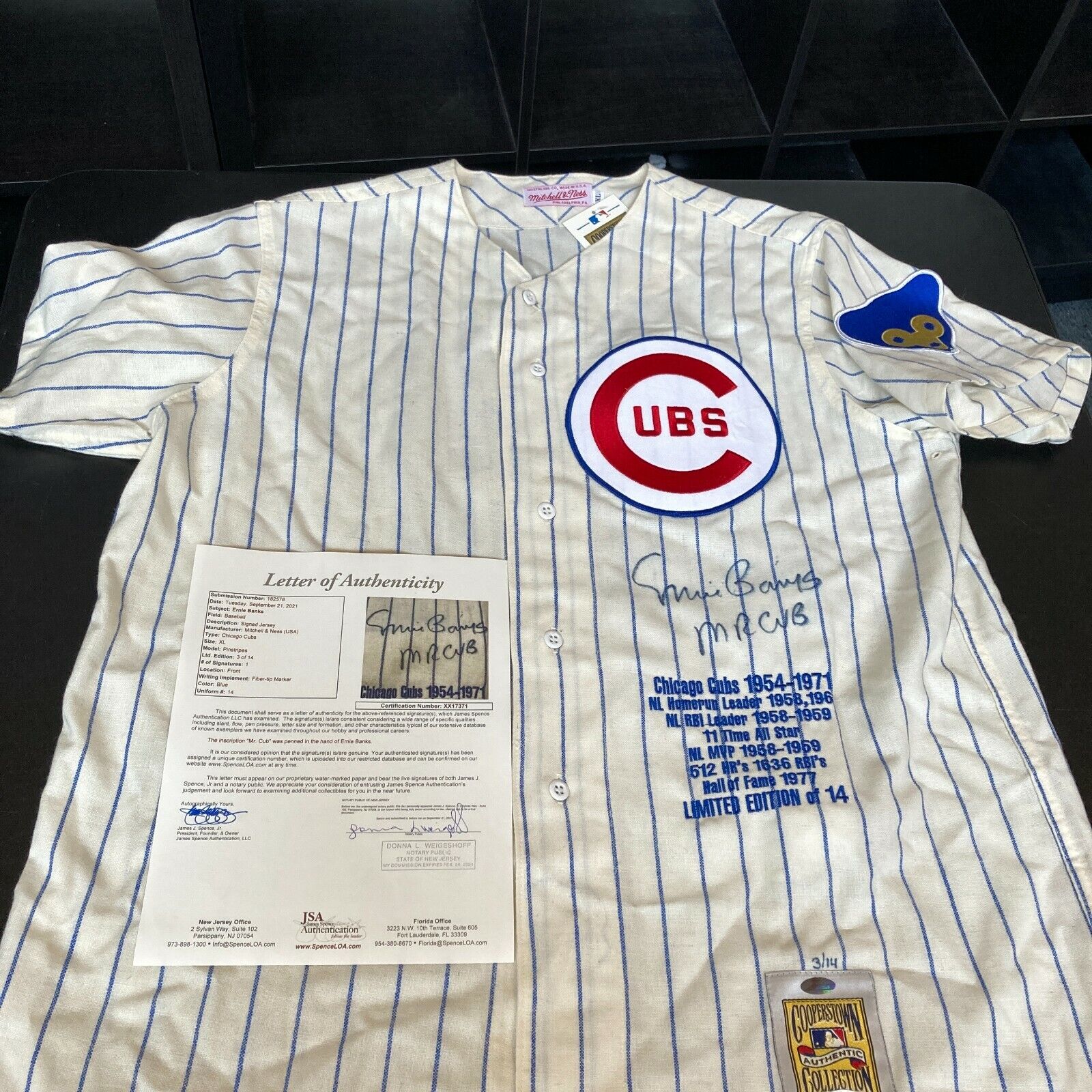 Ernie Banks Mr. Cub Signed Authentic Chicago Cubs STAT Jersey