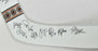 1991–92 San Jose Sharks Inaugural Season Team Signed Goalie Stick JSA COA