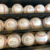 2005 Chicago White Sox World Series Champs Team Signed Baseball Display (29) JSA