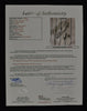 Kirby Puckett "HOF 2001" Signed Game Issued Minnesota Twins Jersey JSA COA RARE