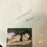 Celine Dion Signed Autographed Drumhead With JSA COA