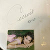 Celine Dion Signed Autographed Drumhead With JSA COA