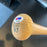 Brooklyn Dodgers Legends Signed Baseball Bat With PSA DNA COA