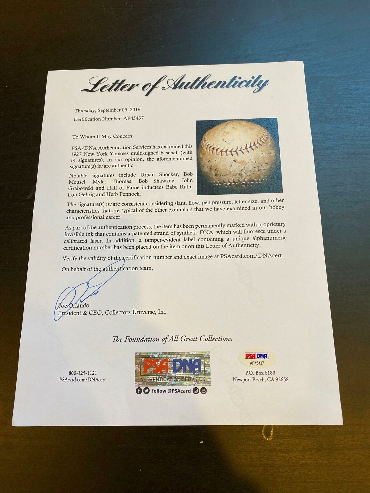 1927 New York Yankees Team Signed Baseball Babe Ruth & Lou Gehrig PSA DNA  COA